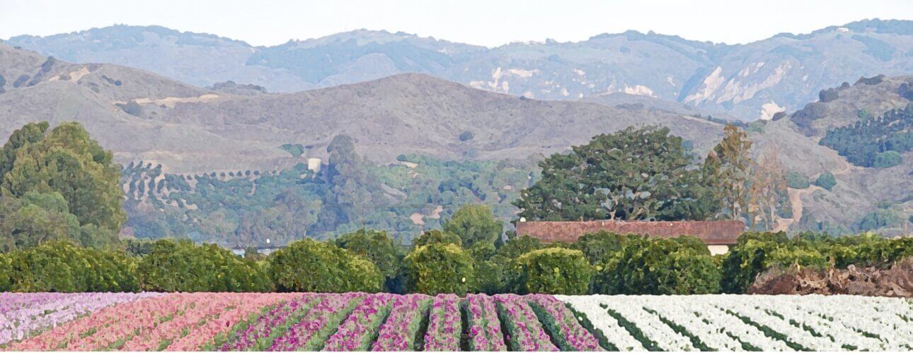 Fields with trees and hills in the background